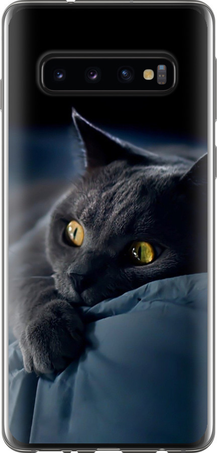 Чохли для Samsung Galaxy S10