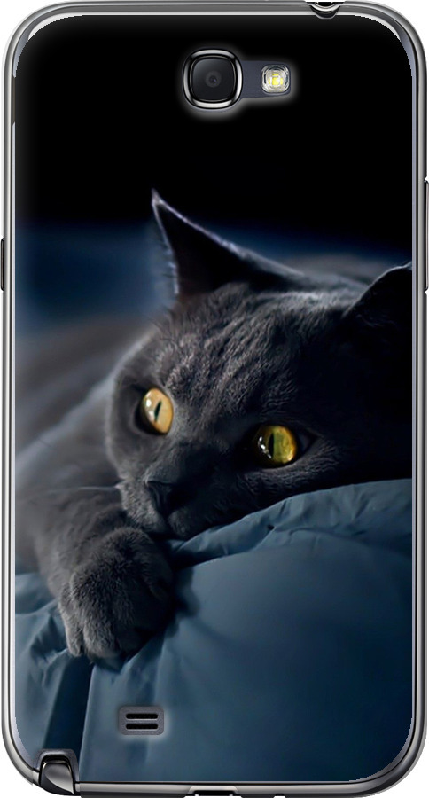 Чохли для Samsung Galaxy Note 2 N7100