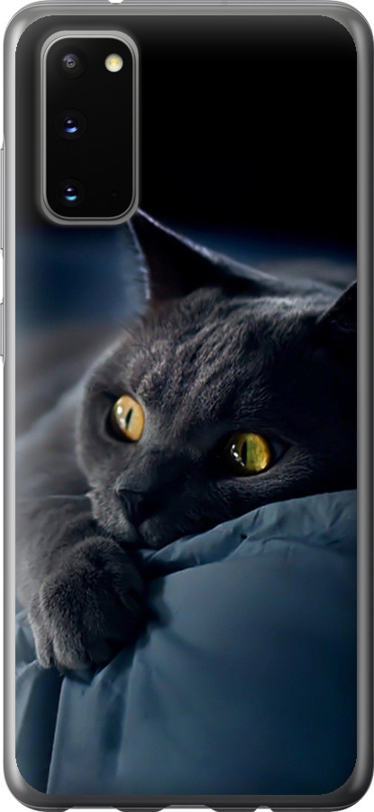 Чохли для Samsung Galaxy S20
