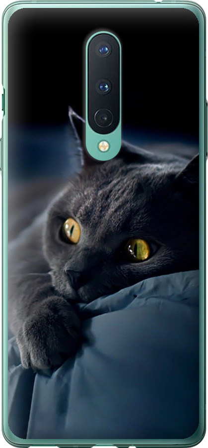 Чохли для OnePlus 8