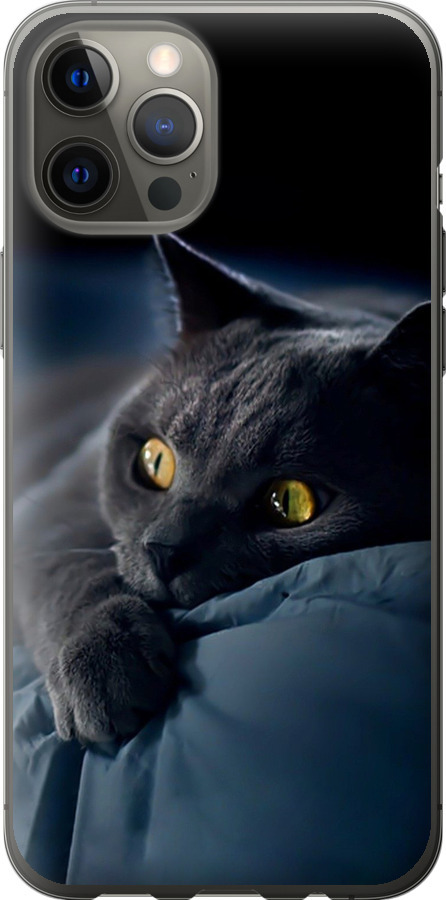 Чохли для iPhone 12 Pro Max