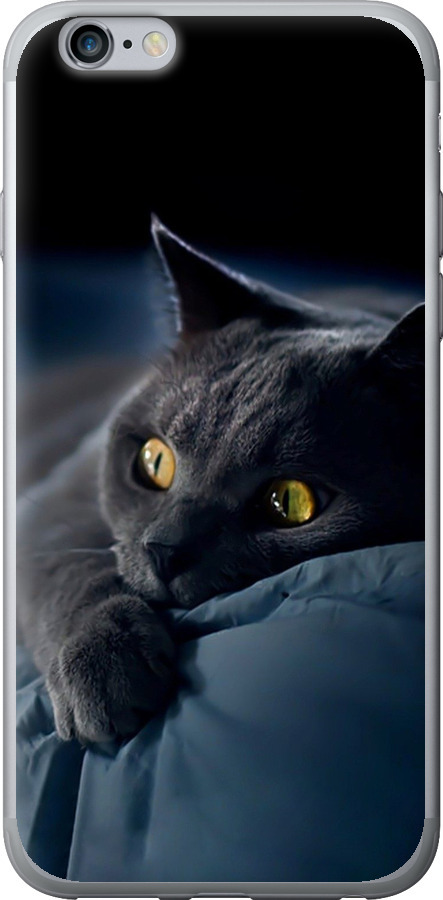 Чохли для iPhone 6s Plus