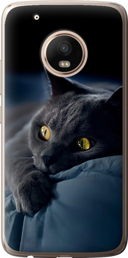 Чохли для Motorola Moto G5 PLUS