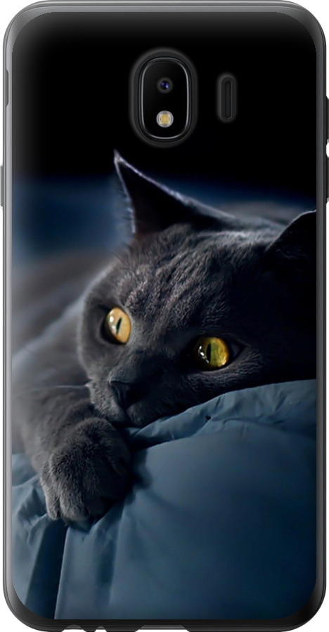 Чохли для Samsung Galaxy J4 2018