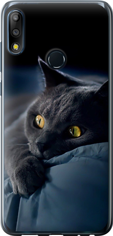 Чохли для Asus Zenfone Max Pro M2 ZB631KL