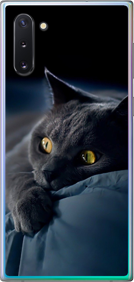 Чохли для Samsung Galaxy Note 10