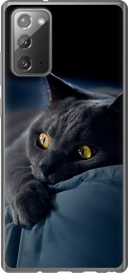 Чохли для Samsung Galaxy Note 20