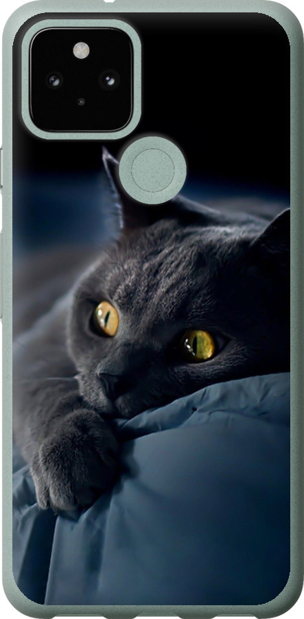 Чохли для Google Pixel 5
