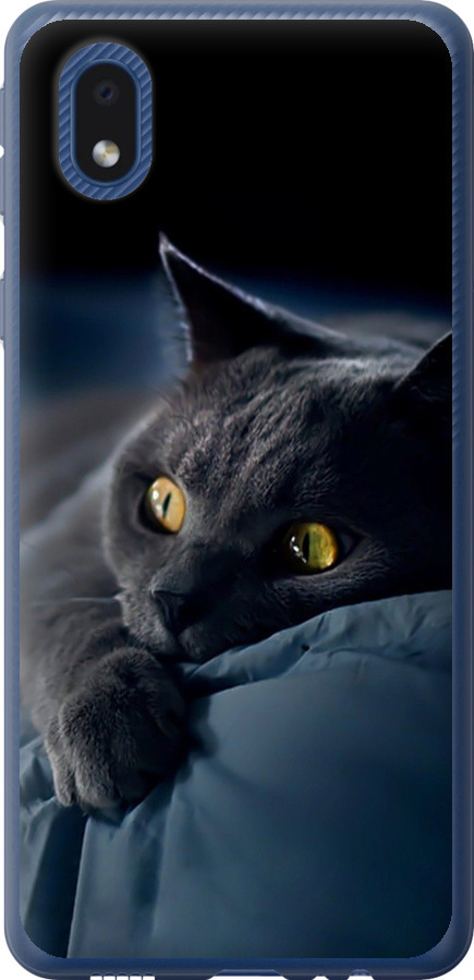 Чохли для Samsung Galaxy A01 Core A013F