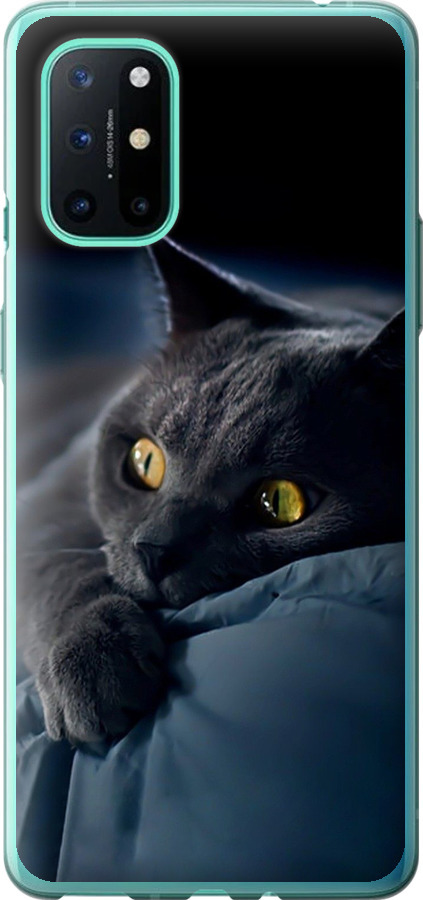 Чохли для OnePlus 8T