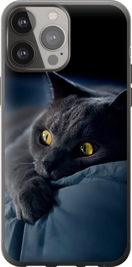 Чохли для iPhone 13 Pro Max