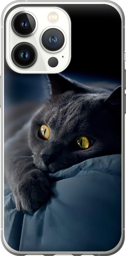 Чохли для iPhone 13 Pro