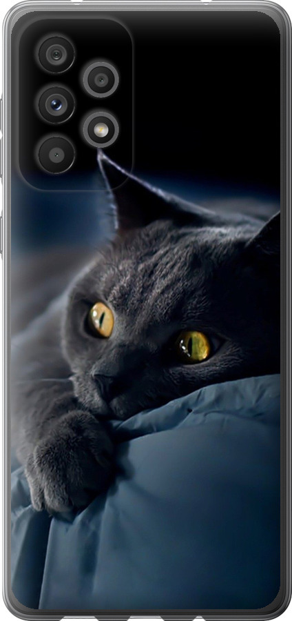 Чохли для Samsung Galaxy A73 A736B