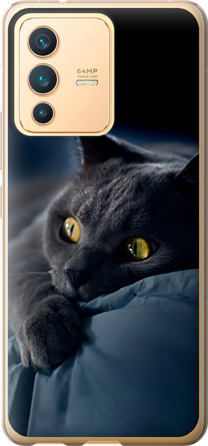 Чохли для Vivo V23