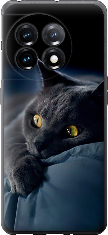 Чохли для OnePlus 11