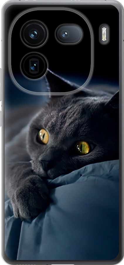 Чохли для Vivo iQOO 12