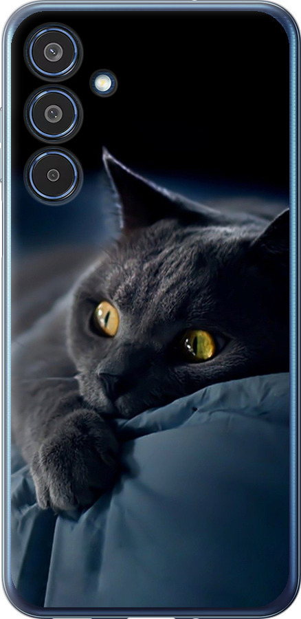 Чохли для Samsung Galaxy M35 5G