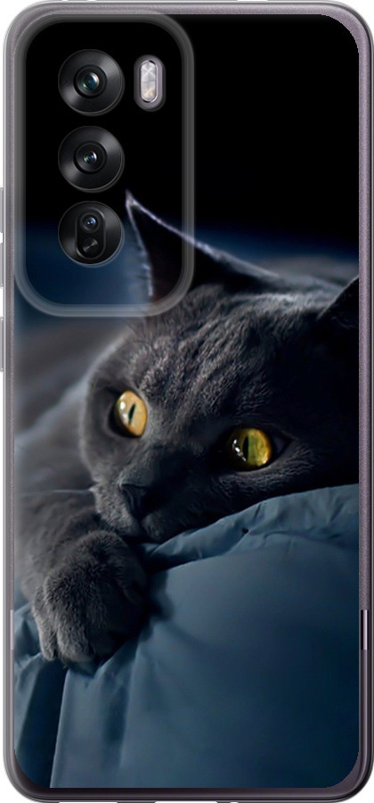 Чохли для Oppo Reno12 Pro 5G