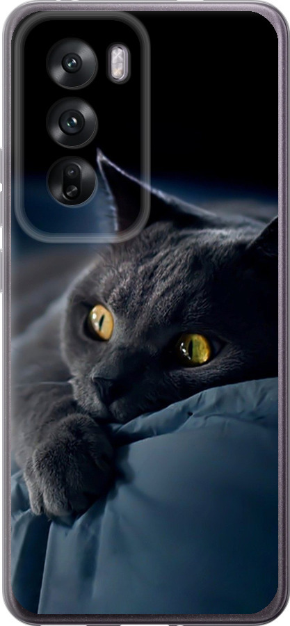 Чохли для Oppo Reno12 5G