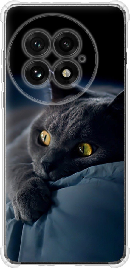 Чохли для OnePlus 13 5G