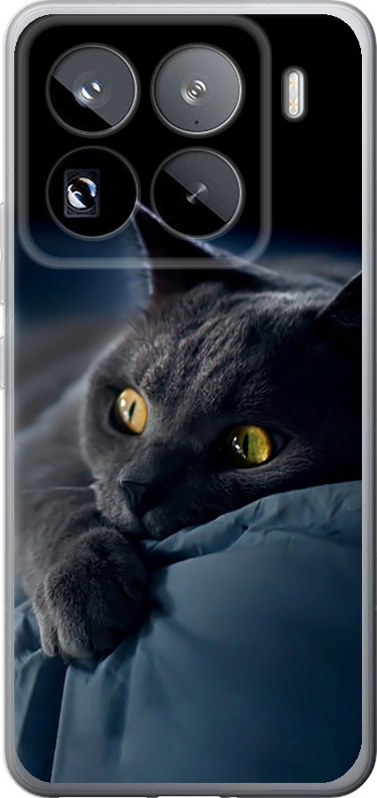 Чохли для Xiaomi 15 Pro