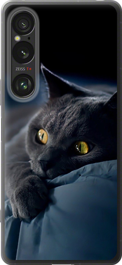 Чохли для Sony Xperia 1 VI
