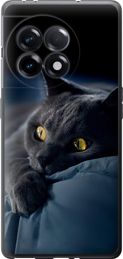 Чохли для OnePlus Ace 2 5G