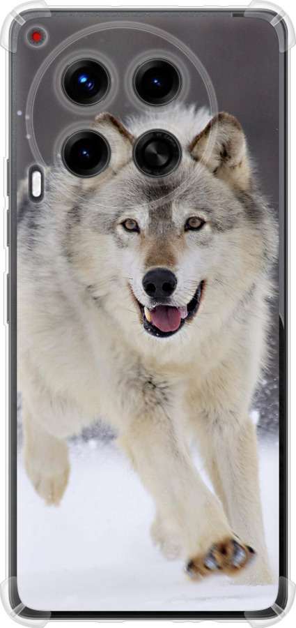 Вовк, що біжить