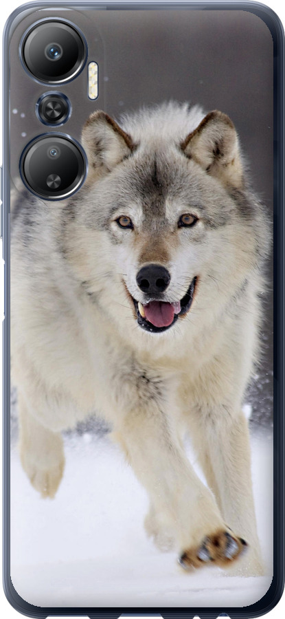 Вовк, що біжить