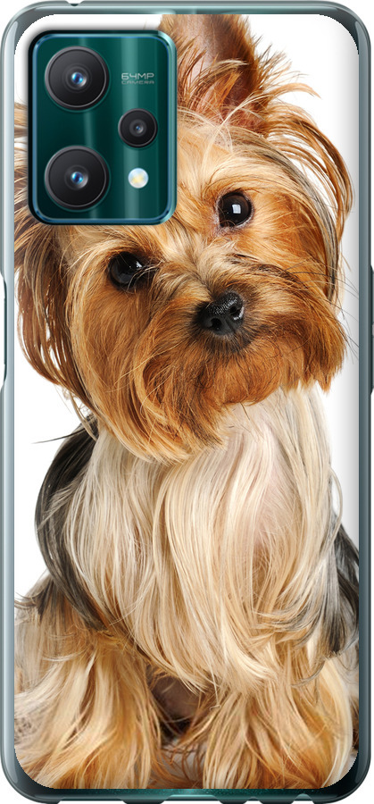 Йоркширський тер'єр із хвостиком