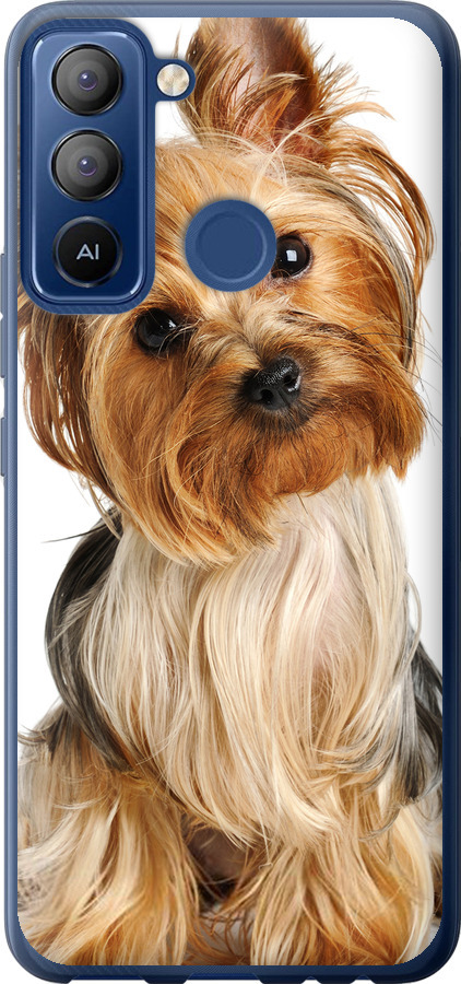 Йоркширський тер'єр із хвостиком
