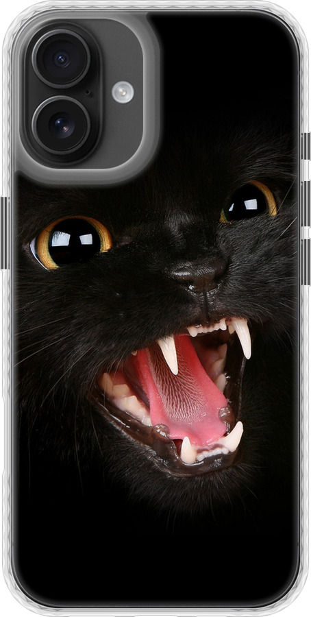 Чорна кішка