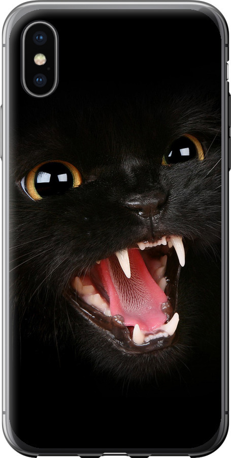 Чорна кішка