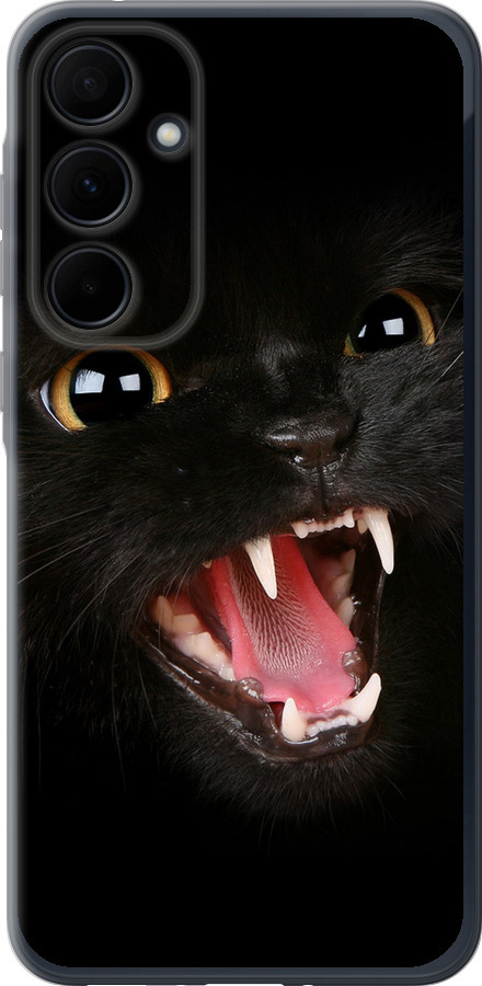 Чорна кішка