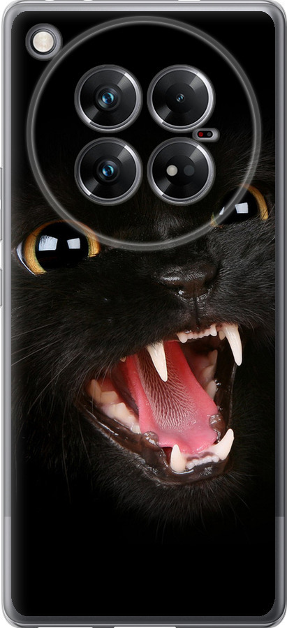 Чорна кішка